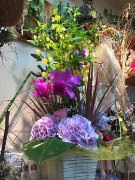 リニューアルオープン記念にお届け♪|「森の小人」　（東京都町田市の花屋）のブログ